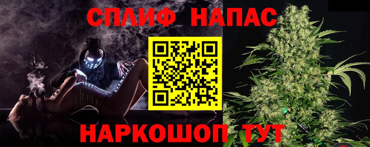 Каннабис сатива Владимир
